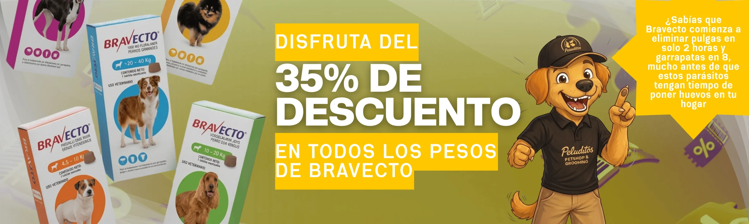 49260.webp