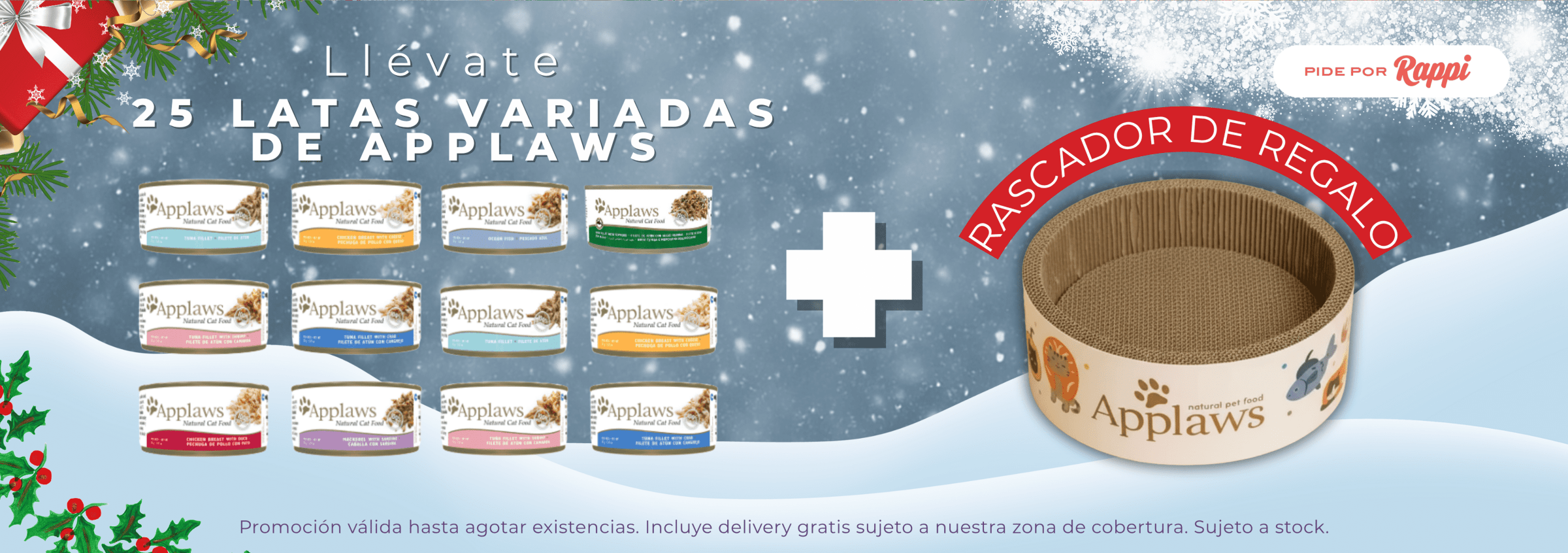 5 optimized 50008800