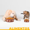 Inicio