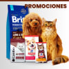 Inicio