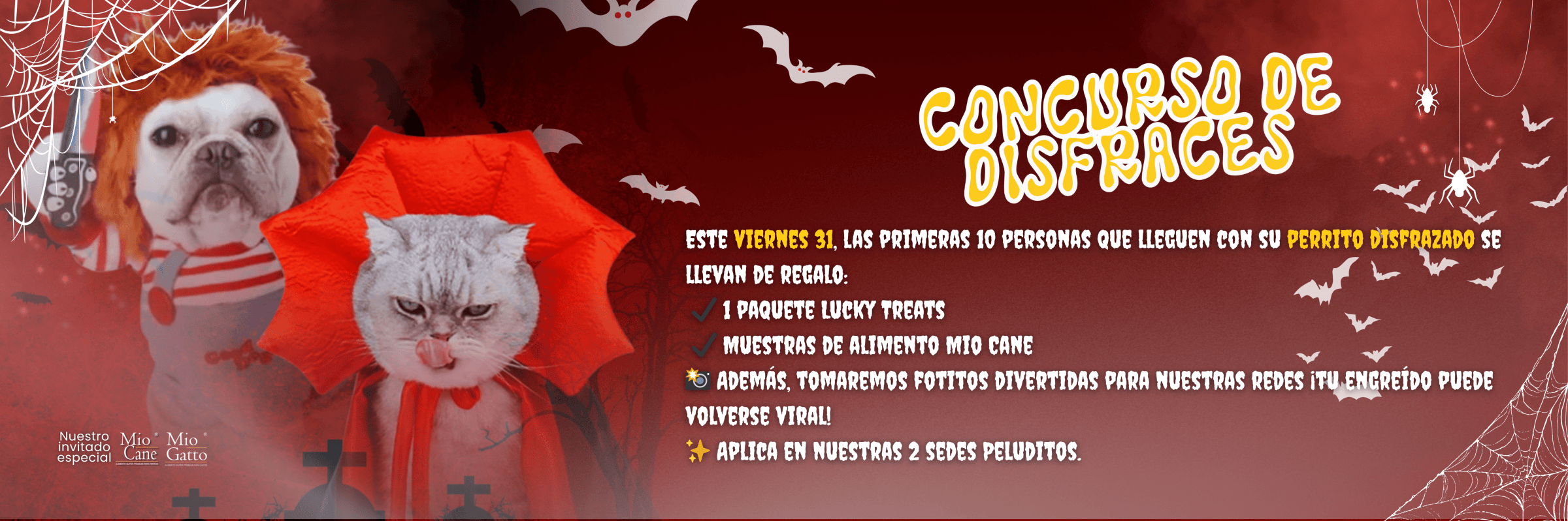 bannermercadoshopspromoci ndeviajesfotogr ficoceleste 2048x682px 28498 bannermercadoshopspromoci ndeviajesfotogr ficoceleste 2048x682px 28498