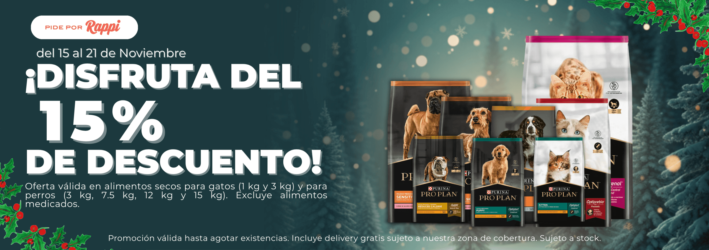 bannermercadoshopspromoci ndeviajesfotogr ficoceleste 2048x682px 54688