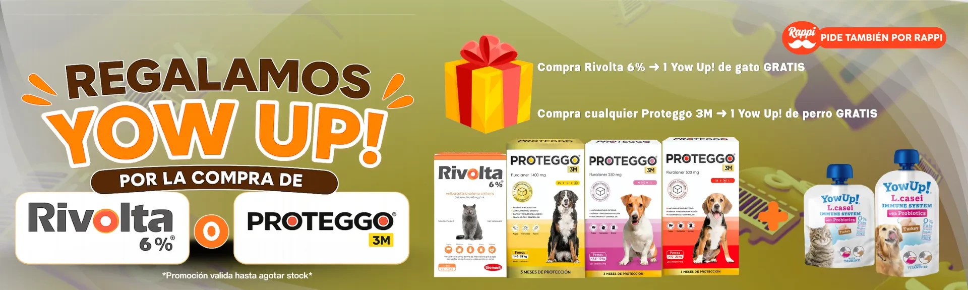 del20al26deabril 10577.webp