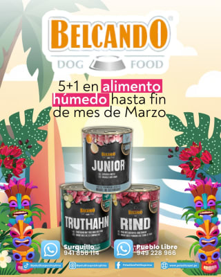 PROMO BELCANDO 5+1