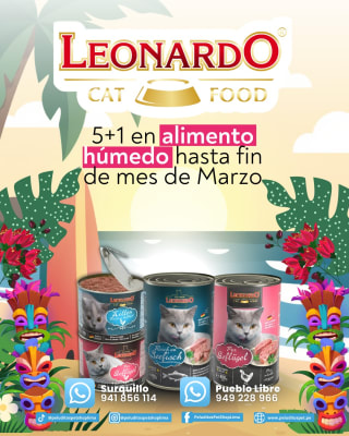 PROMO LEONARDO 5 + 1