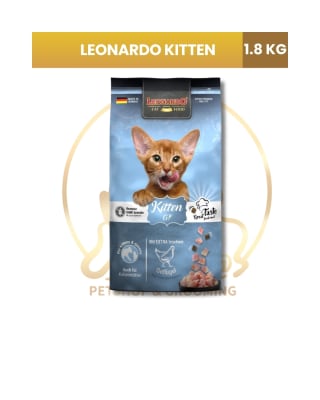 Leonardo Kitten GF x 1.8kg