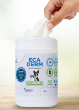 Ecaderm Pañitos Húmedos x 80