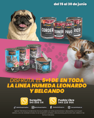 PROMO LEONARDO 5 + 1