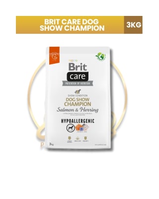 BRIT CARE DOG SHOW CHAMPION