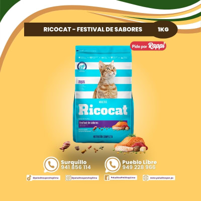 RICOCAT ADULTOS FESTIVAL DE SABORES