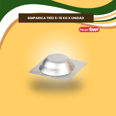 SIMPÁRICA TRIO
