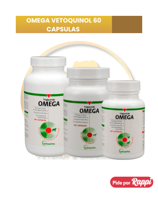 TRIGLYCERIDE OMEGA x 60 cap