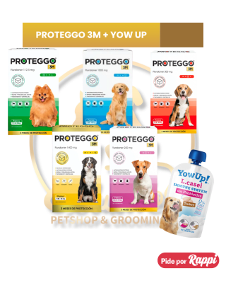 PROTEGGO 3M antipulgas para perro