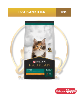 PRO PLAN KITTEN