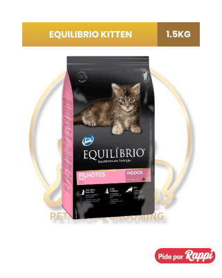 EQUILIBRIO KITTEN