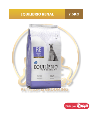 EQUILIBRIO RENAL