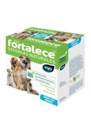 VIYO FORTALECE PERRO