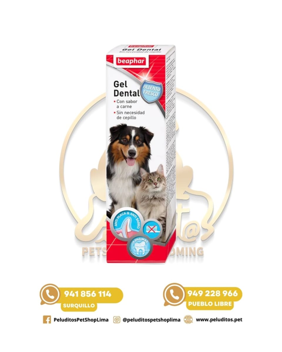BEAPHAR GEL DENTAL – SABOR A CARNE – PERROS Y GATOS – 100GR1