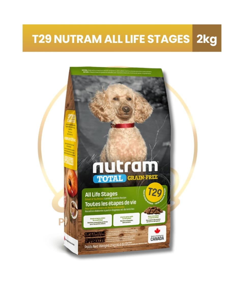 T29 NUTRAM GRAIN FREE ALERGY CORDERO 2 KG1