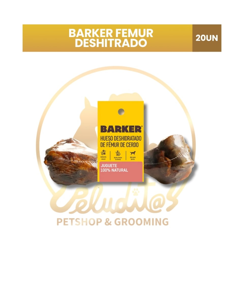 Barker Femur Deshidratado1