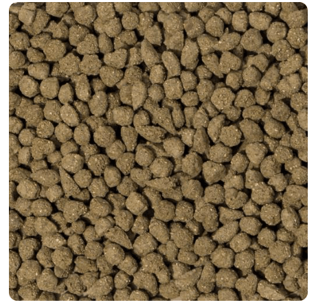 Beaphar Care + Conejo Senior2