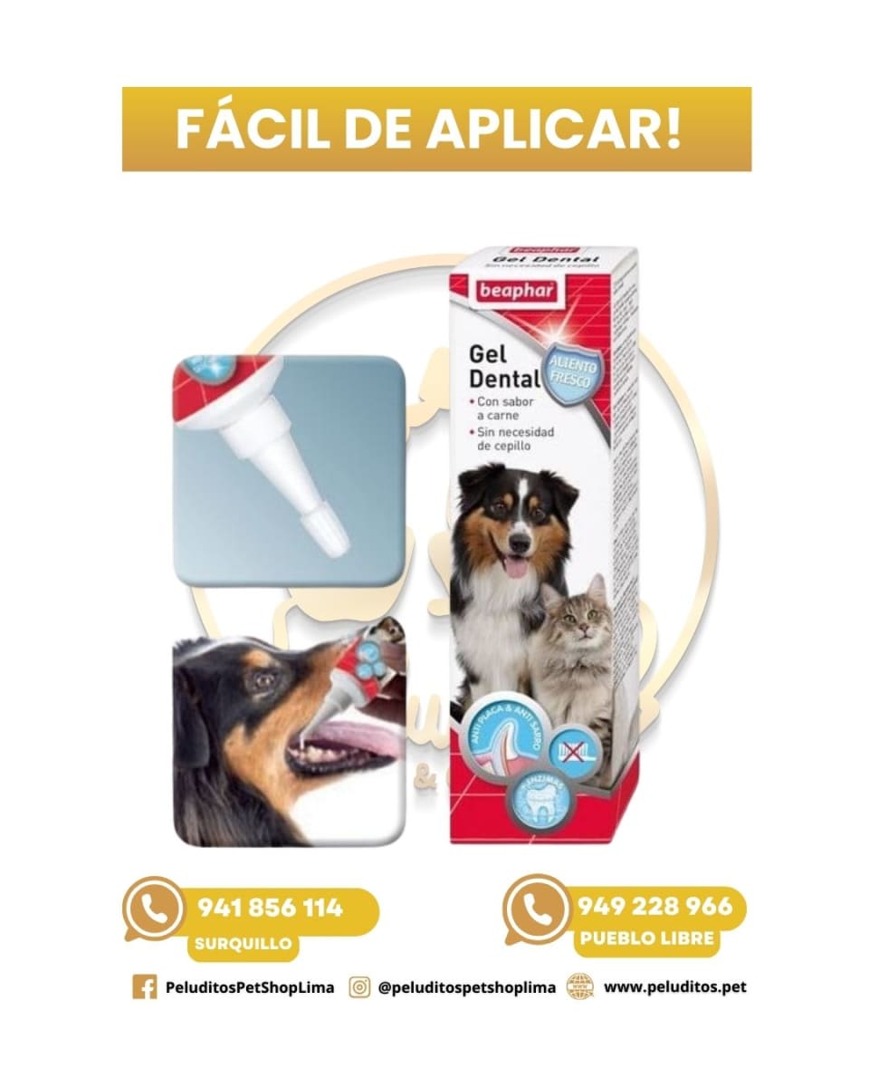BEAPHAR GEL DENTAL – SABOR A CARNE – PERROS Y GATOS – 100GR2