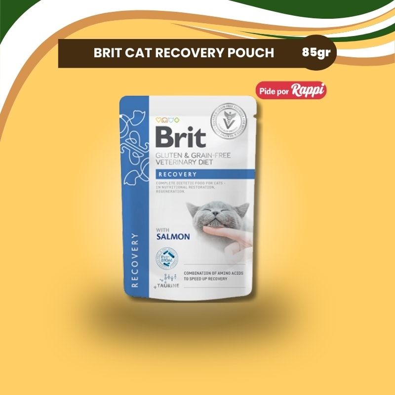 Brit  Vet Cat Recovery Pouch 85gr.1