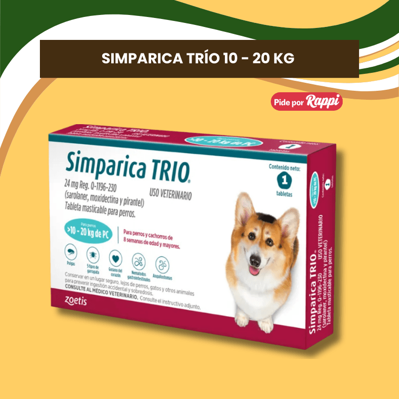 SIMPÁRICA TRIO4