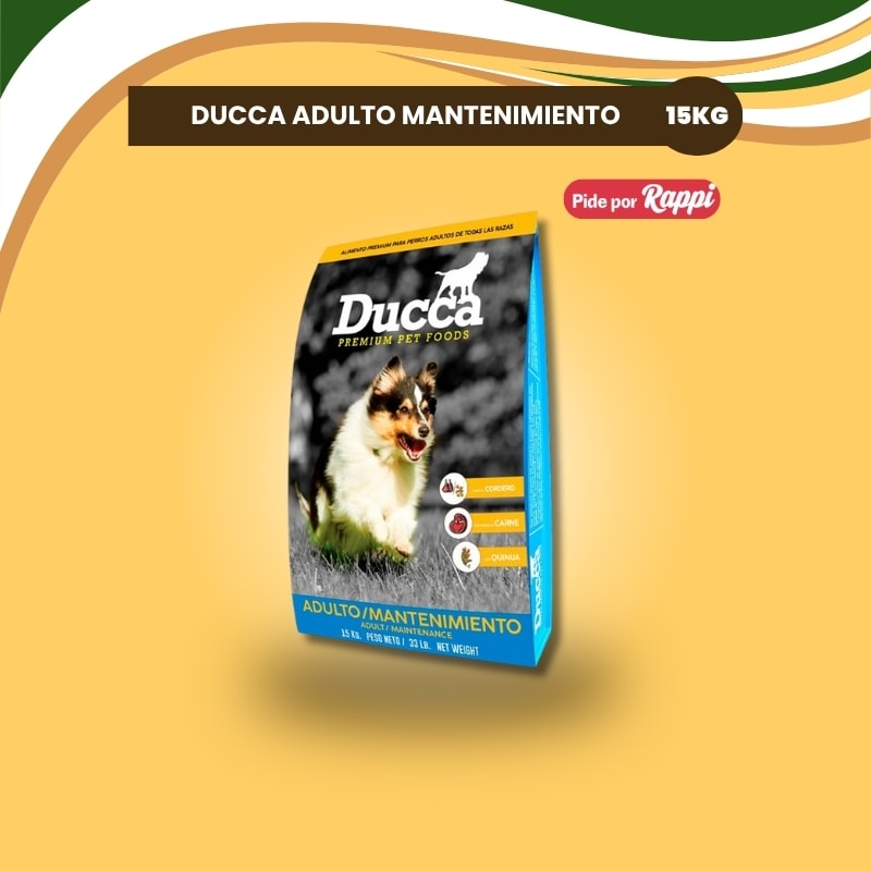 DUCCA MANTENIMIENTO x15 KG1