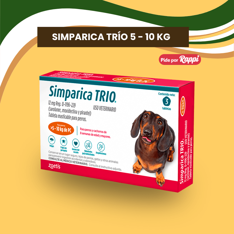 SIMPÁRICA TRIO2