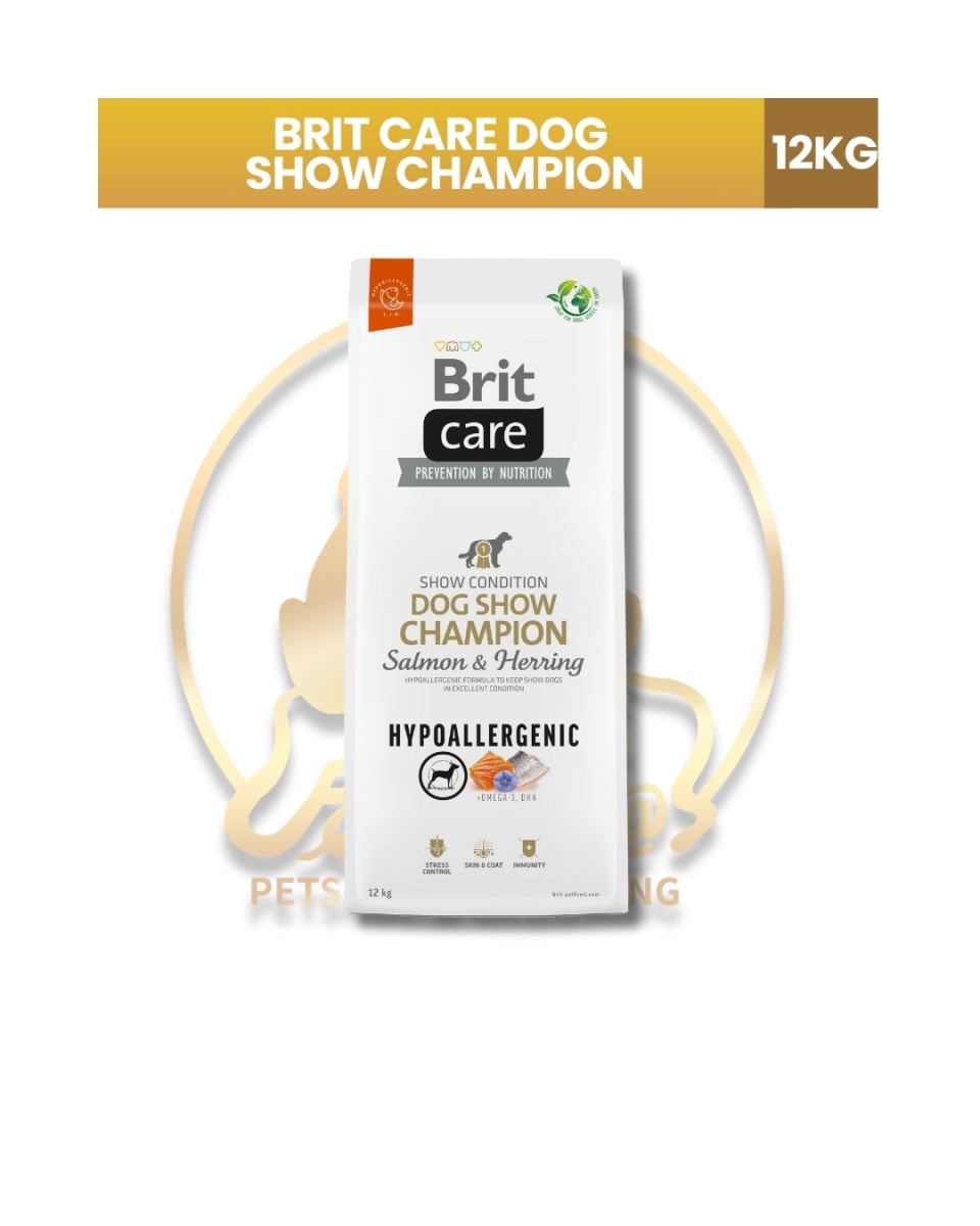 BRIT CARE DOG SHOW CHAMPION2
