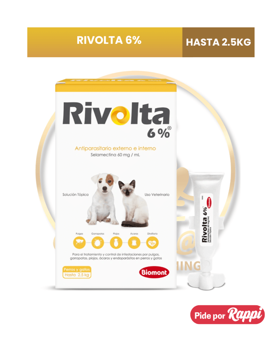 RIVOLTA 6%2