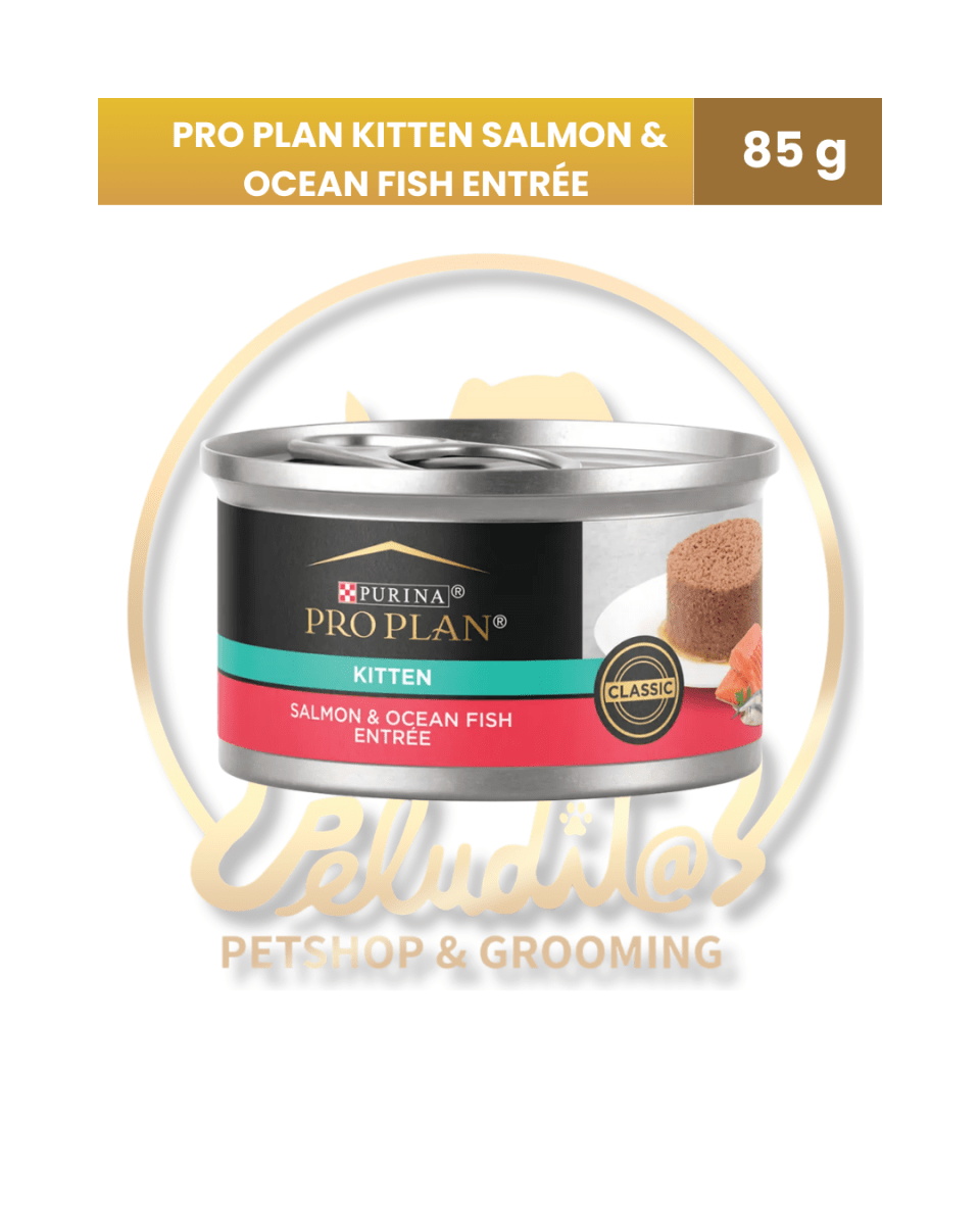 PRO PLAN KITTEN GATO SALMON & OCEAN LATA x 85 gr.1