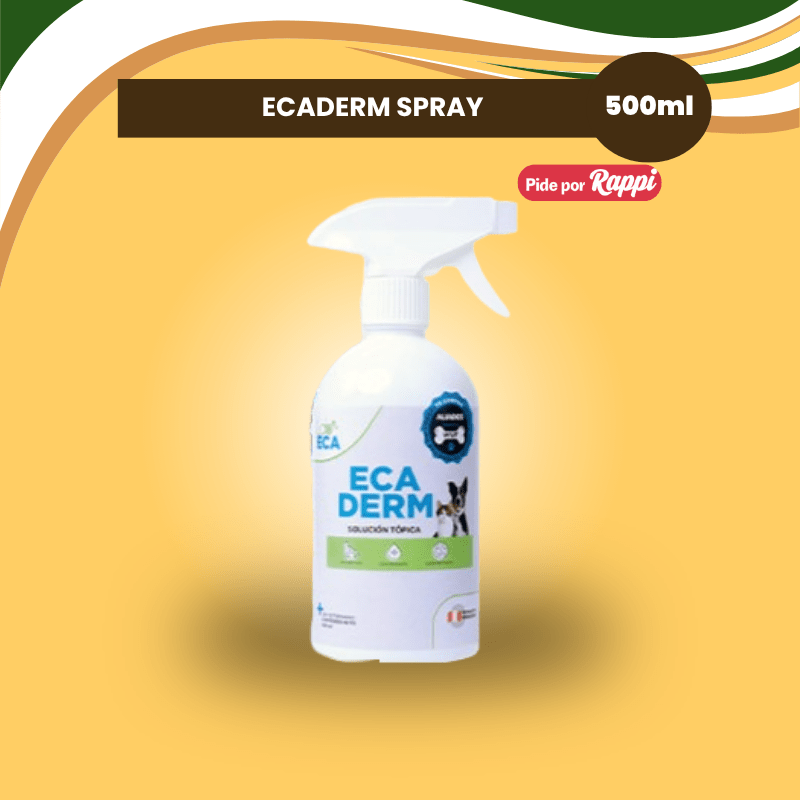 ECADERM SPRAY 500ml1