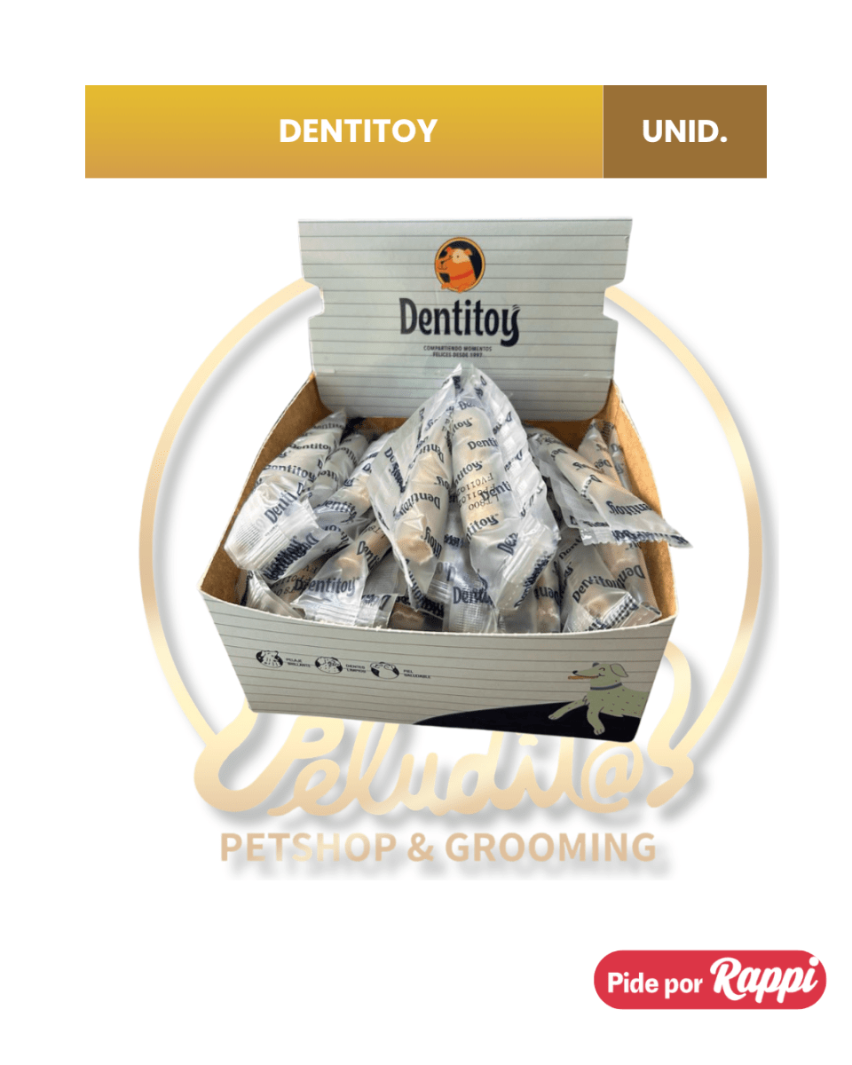 DENTITOY UNIDAD1