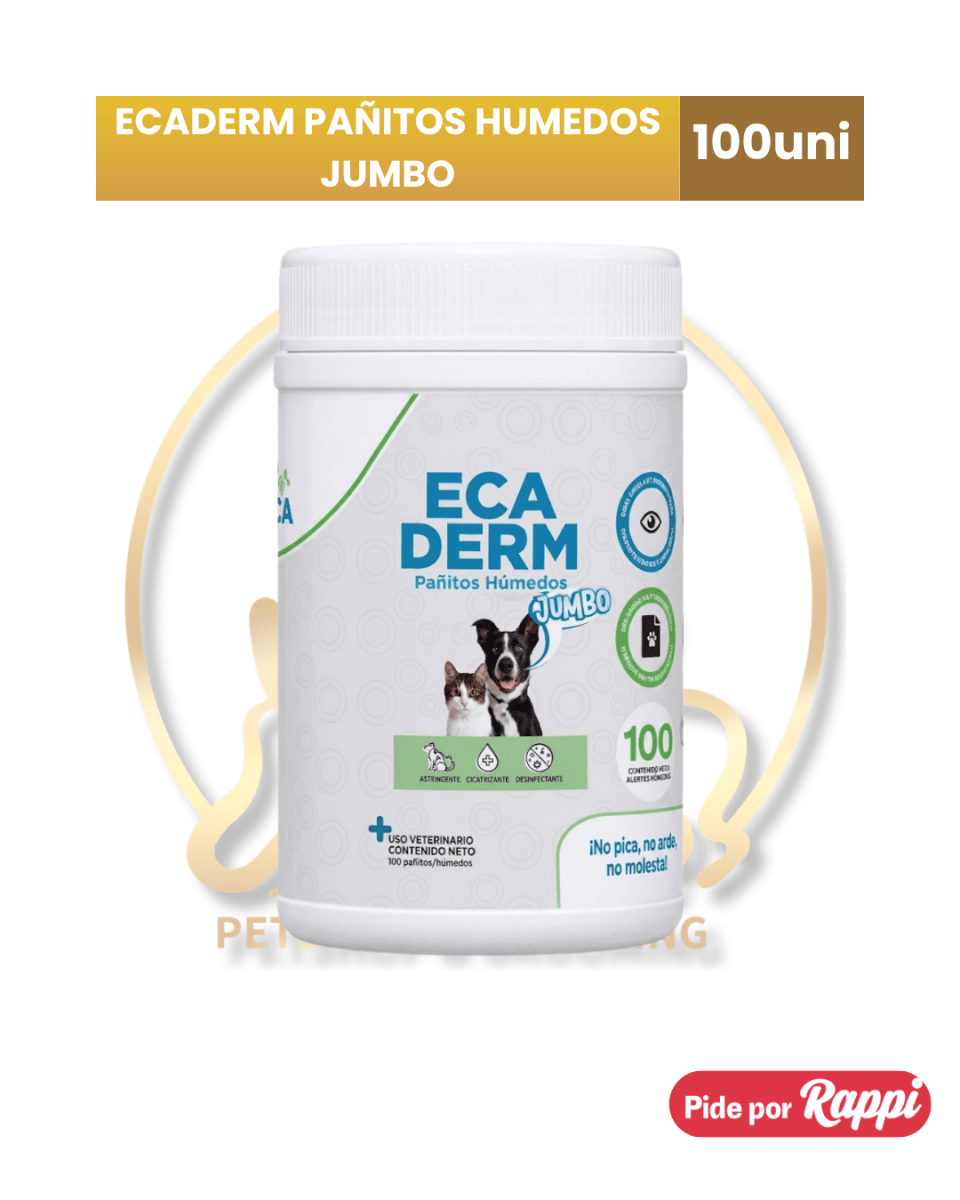 Ecaderm jumbo pañitos humedos 100 unidades1