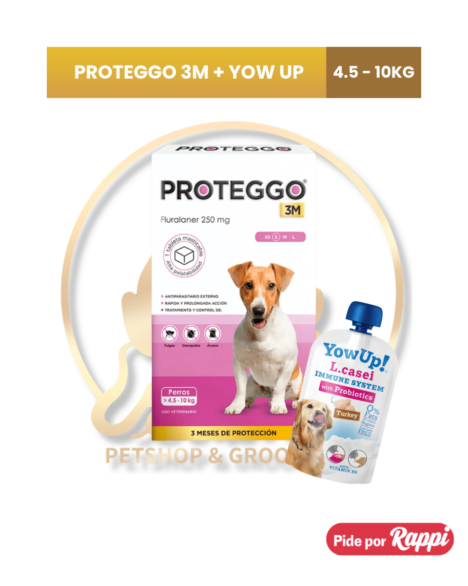 PROTEGGO 3M antipulgas para perro3