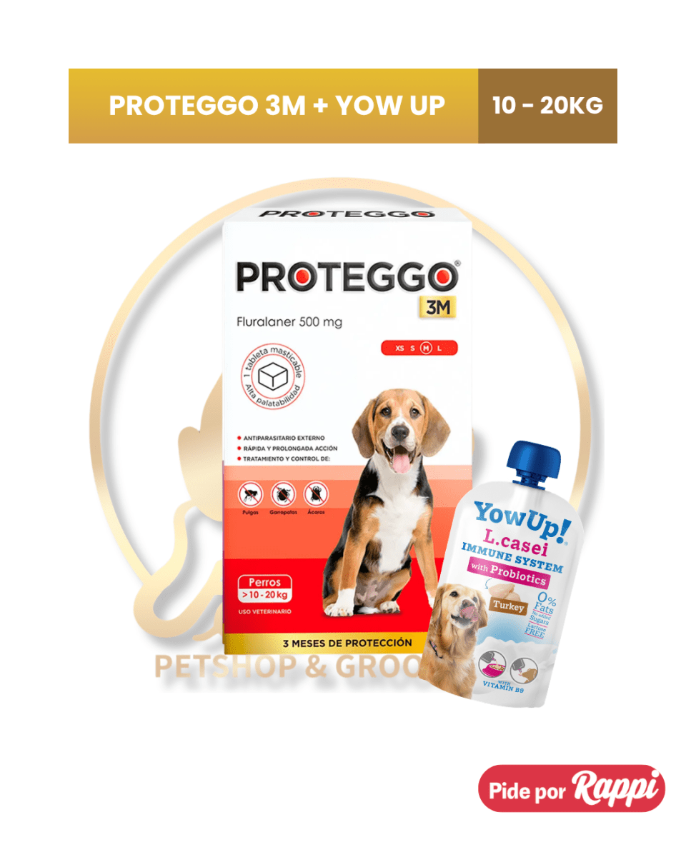 PROTEGGO 3M antipulgas para perro4