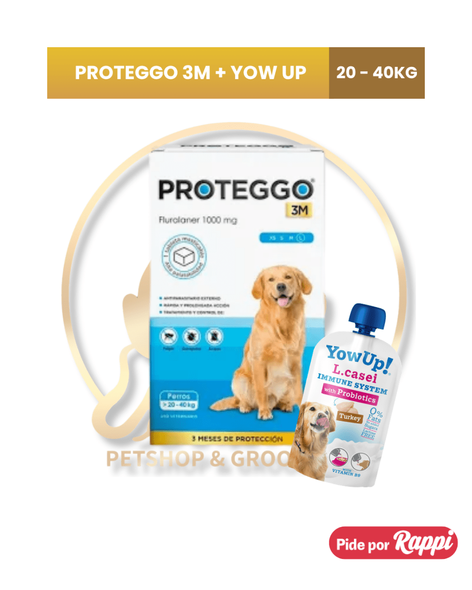 PROTEGGO 3M antipulgas para perro5