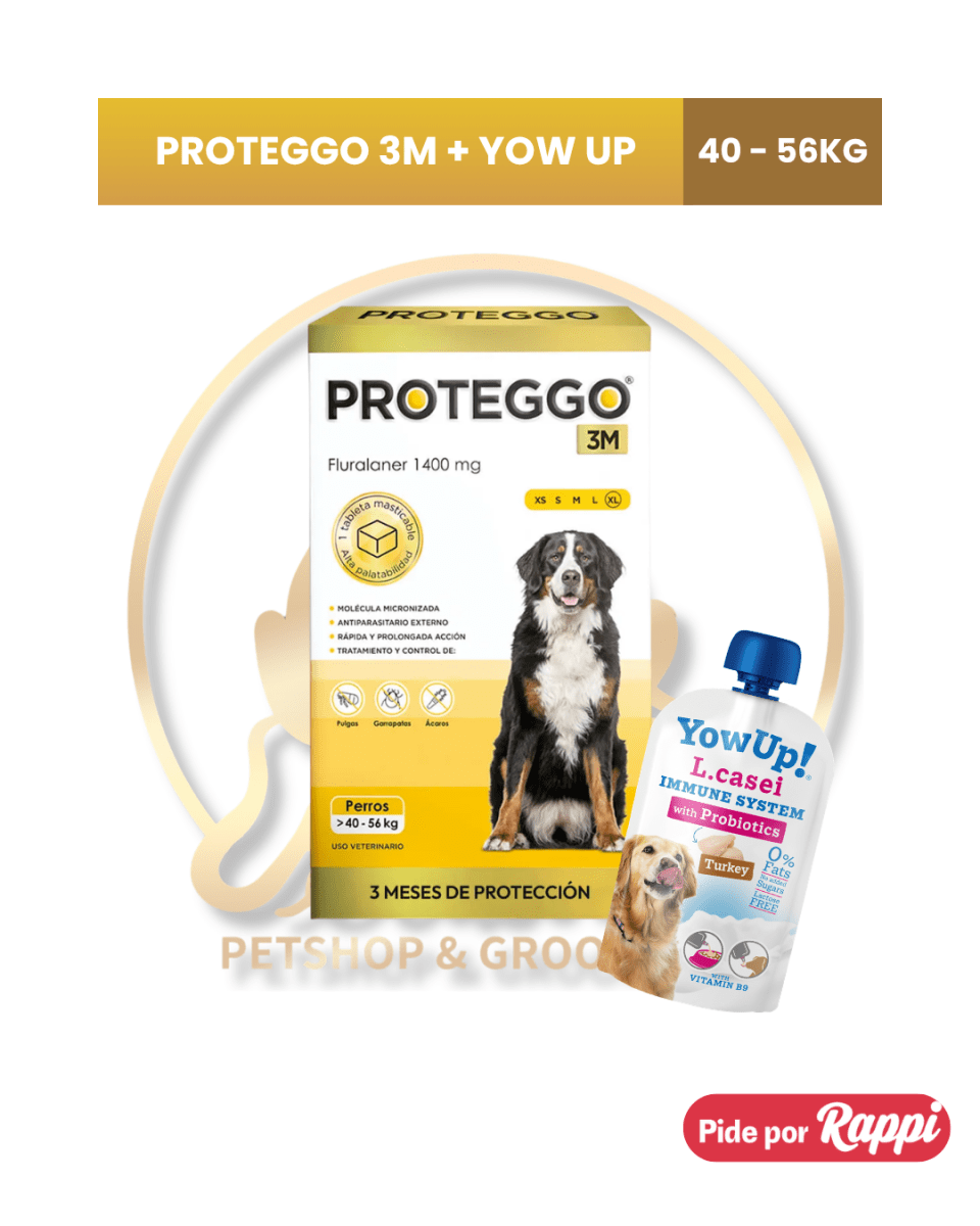 PROTEGGO 3M antipulgas para perro6
