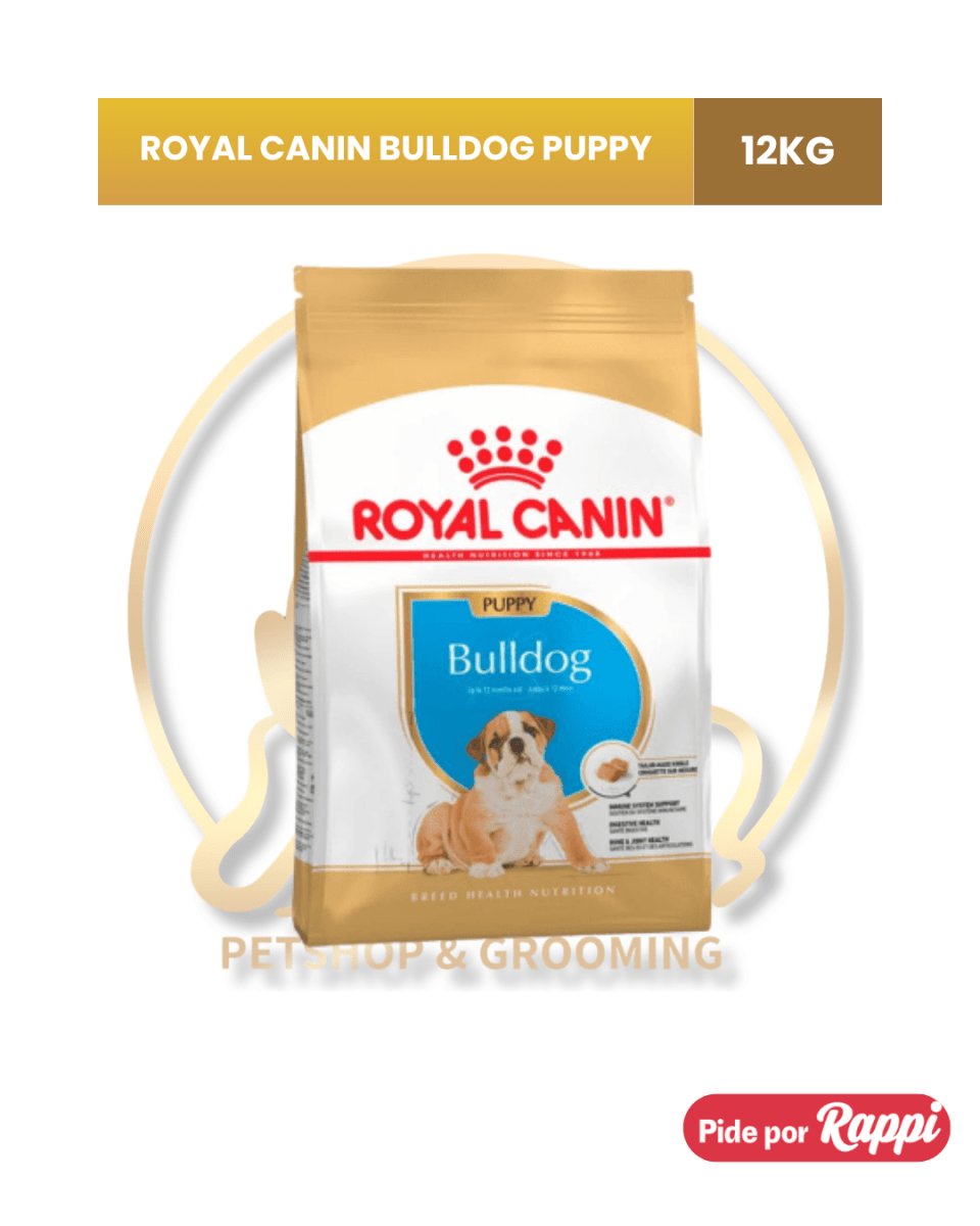ROYAL CANIN BULLDOG INGLES PUPPY1