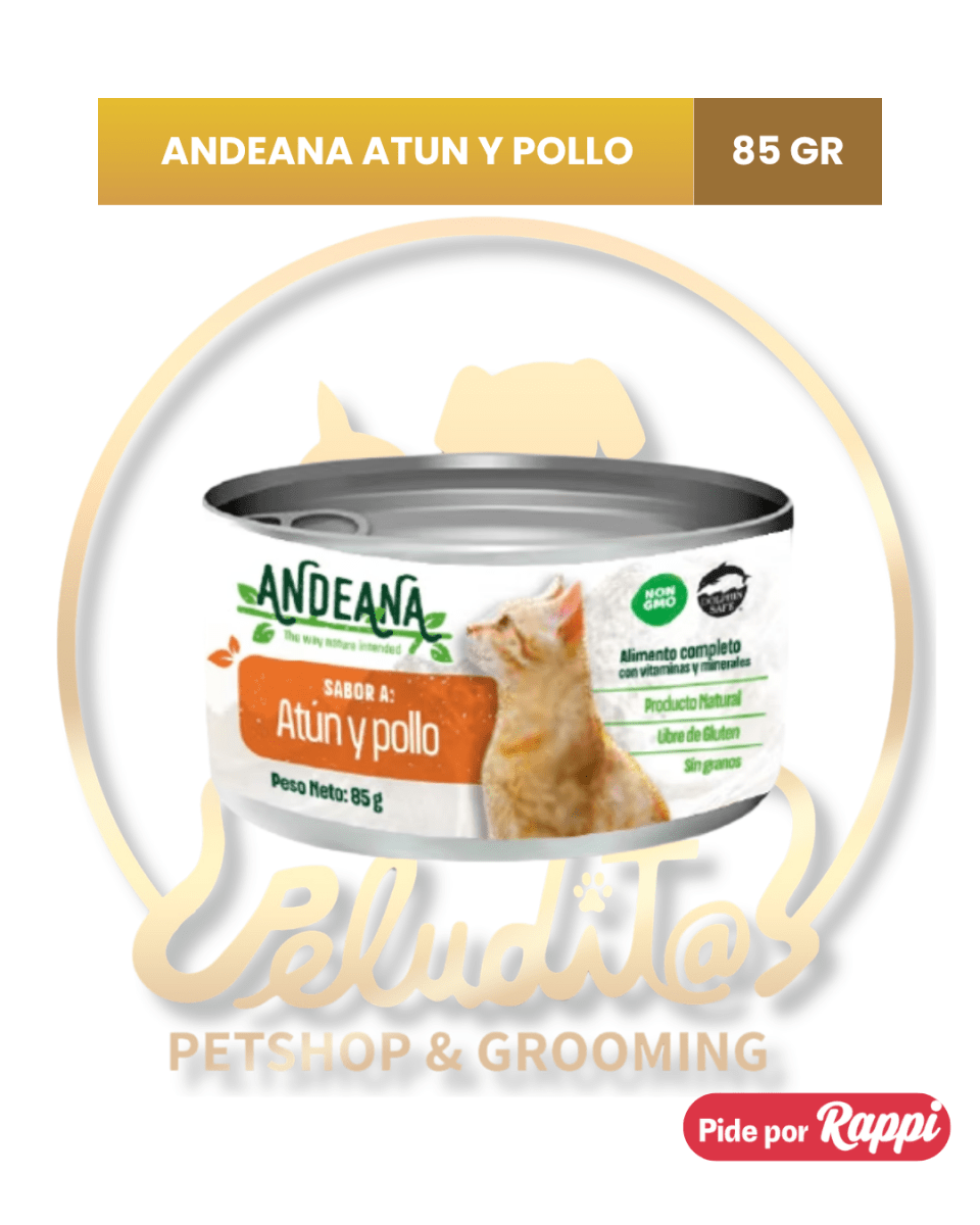ANDEANA ATUN Y POLLO 85GR1