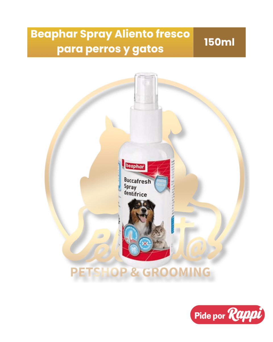 Beaphar Spray Aliento fresco para perros y gatos 150 ml1
