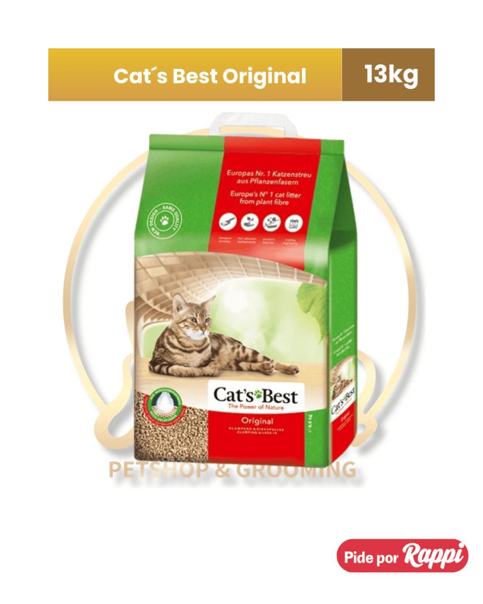 ARENA CAT BEST ORIGINAL1