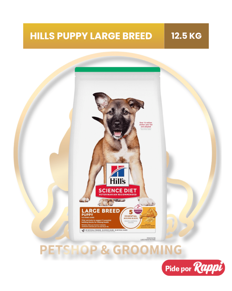 HILLS PUPPY LARGE BREED 12.5KG1
