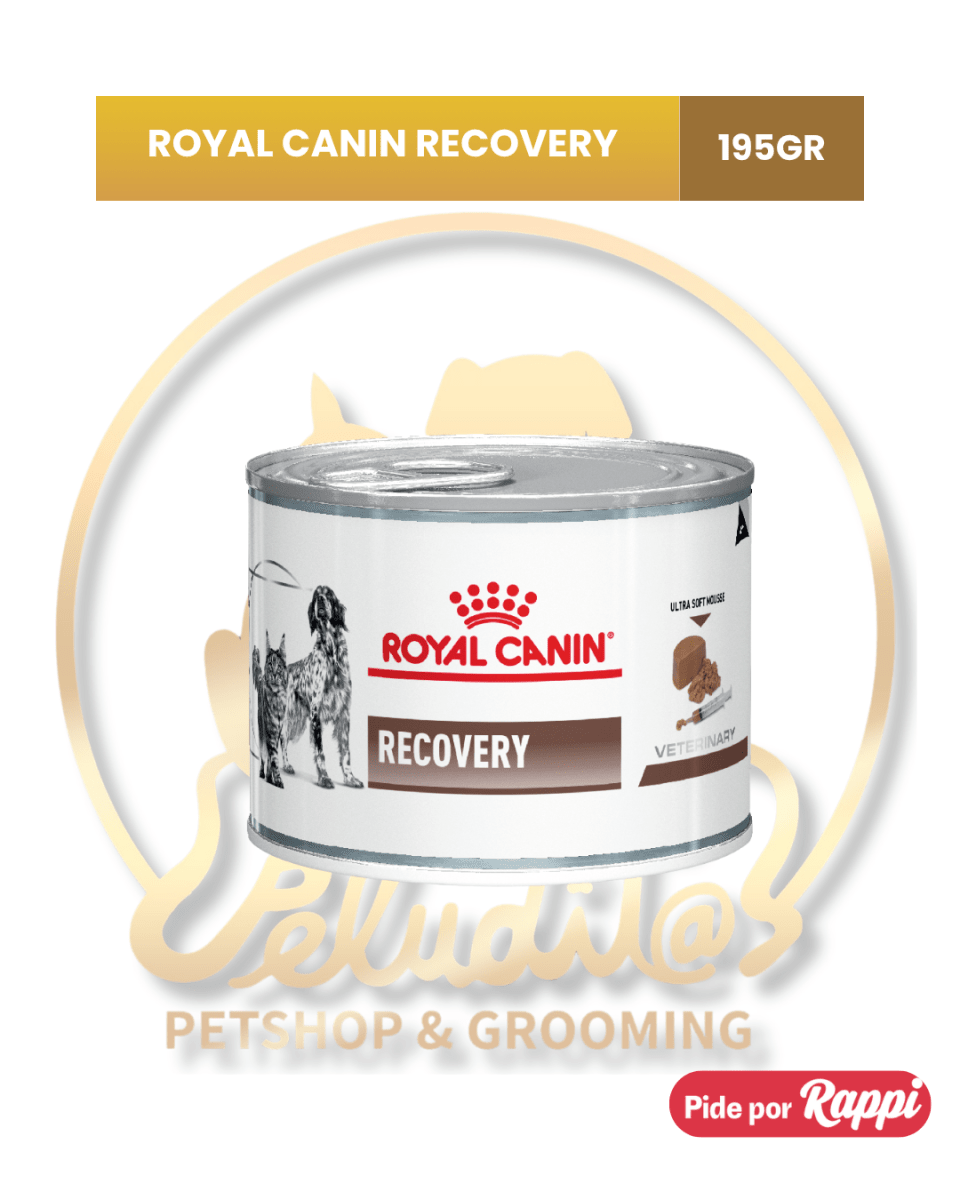 ROYAL CANIN RECOVERY 195GR1