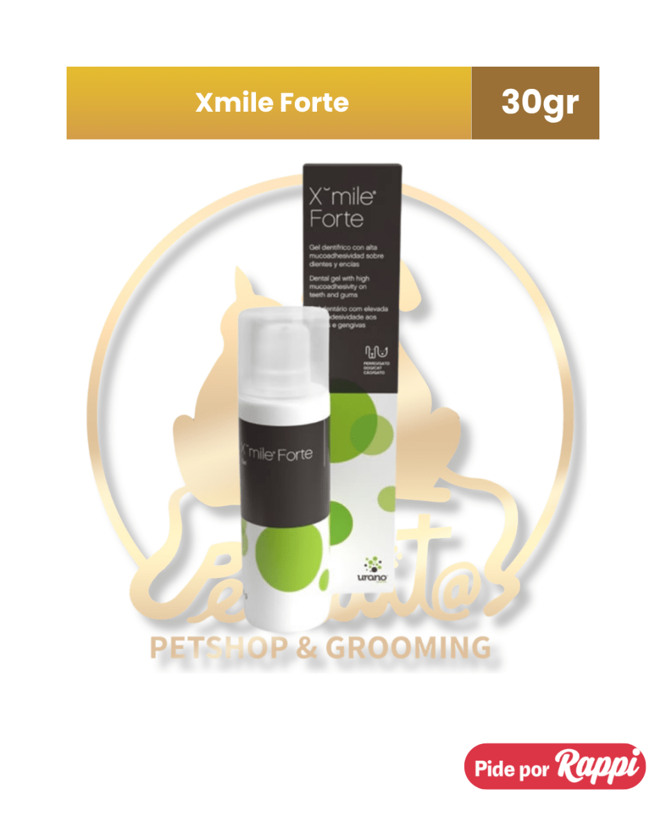 Xmile forte1