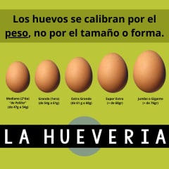 Cómo se clasifican los calibres de huevos?