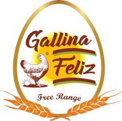 Gallina Feliz