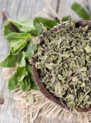 MENTA